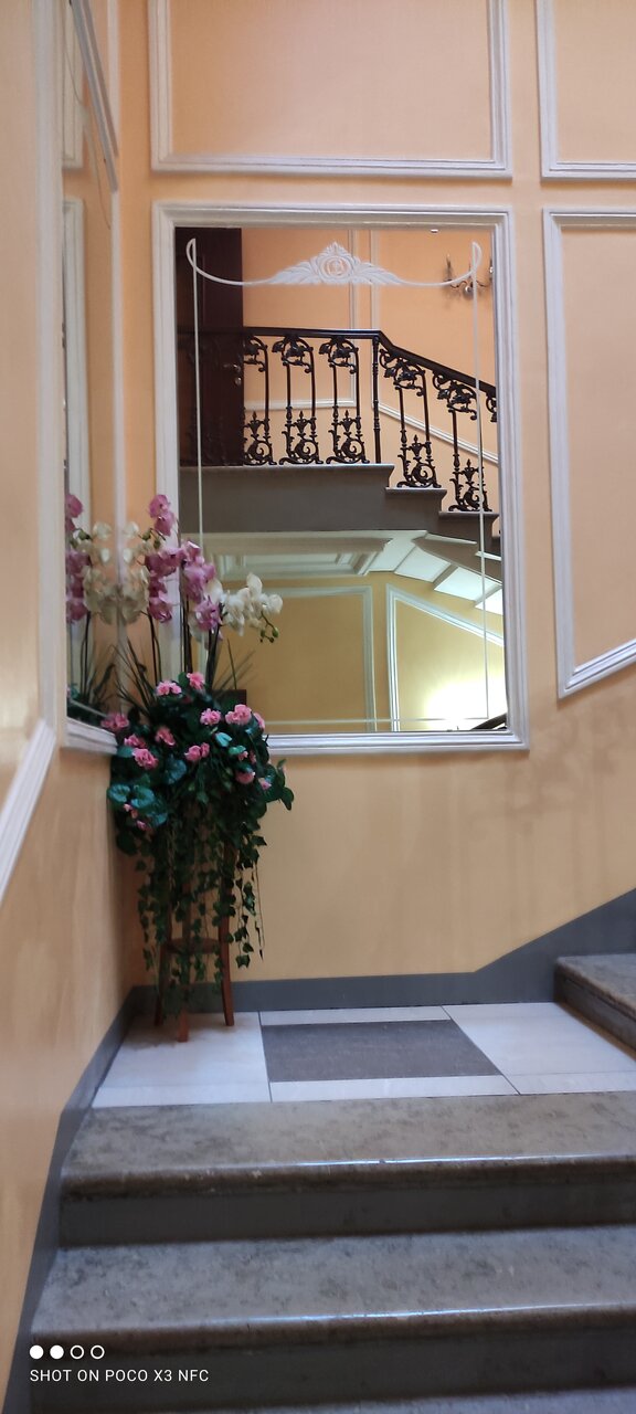 Гостиница Агни Санкт-Петербург-124