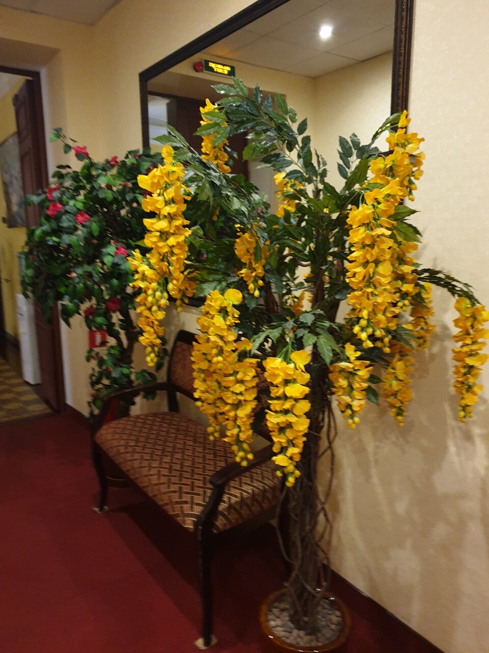 Гостиница Агни Санкт-Петербург-38