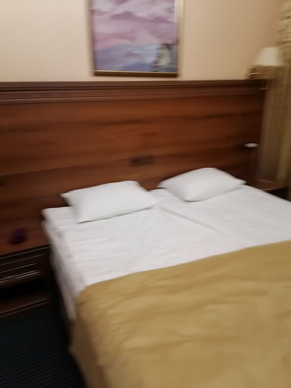 Гостиница Агни Санкт-Петербург-176