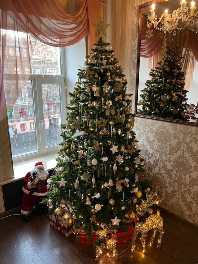 Гостиница Агни Санкт-Петербург-48