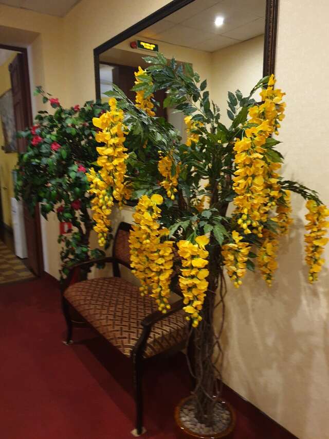 Гостиница Агни Санкт-Петербург-37